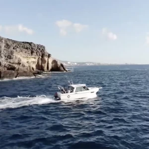 Experience the Full Power of Ocean Fish